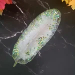 messenger creation c1f61ea3 1159 4f34 ac79 0bdba369bd27