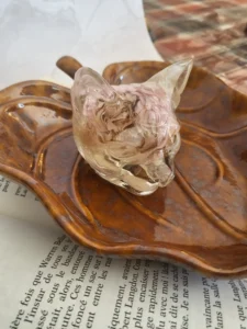 messenger creation f5743940 aa07 46b3 8e97 faac9ecfd900