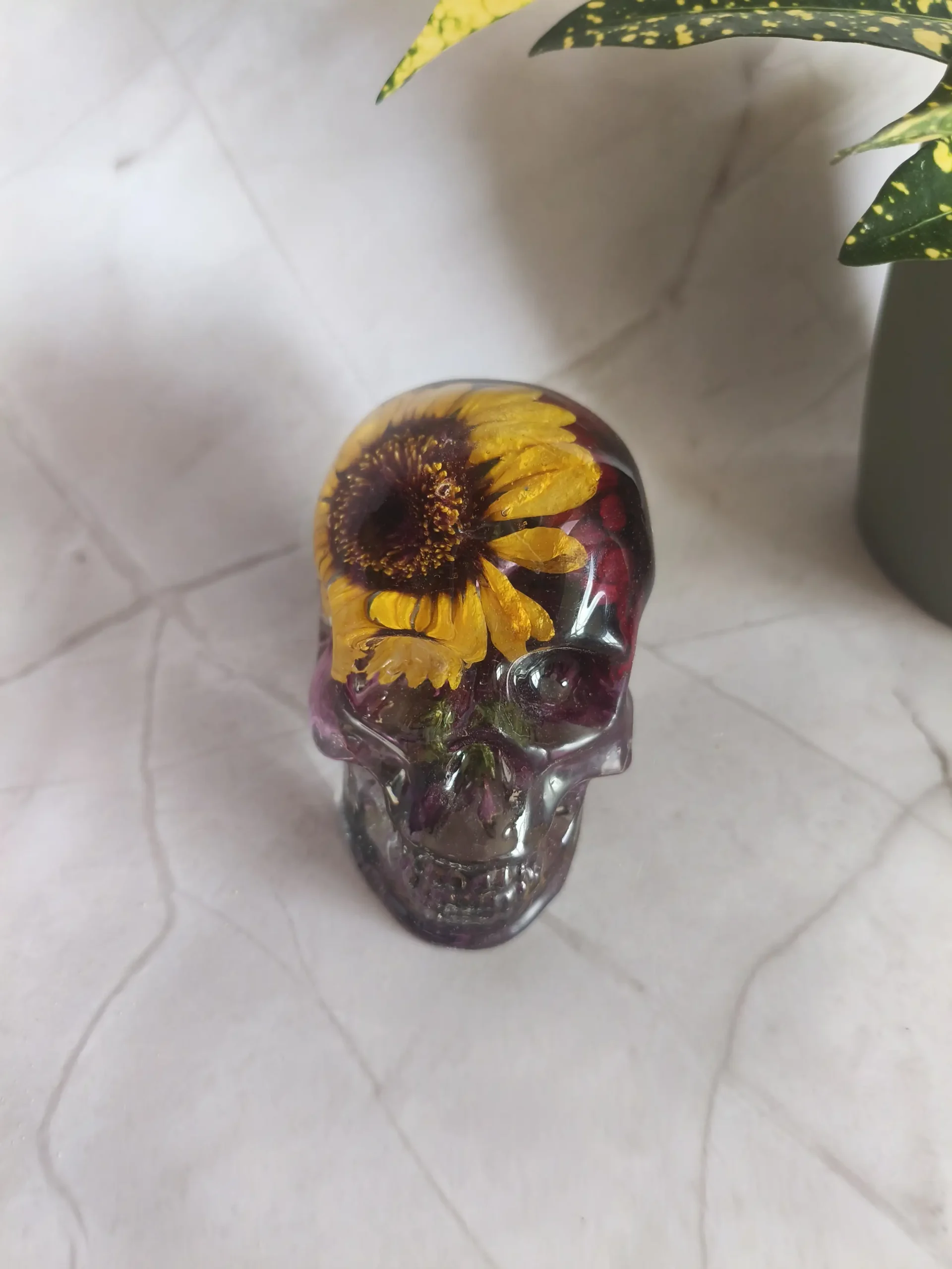 Crâne "Memento Flori" img 20260601 153142