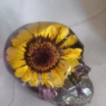 img 20260601 153210