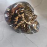 img 20260601 153254