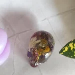 img 20260601 153603