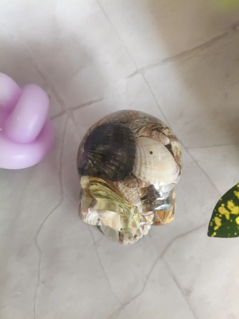 img 20260601 153650